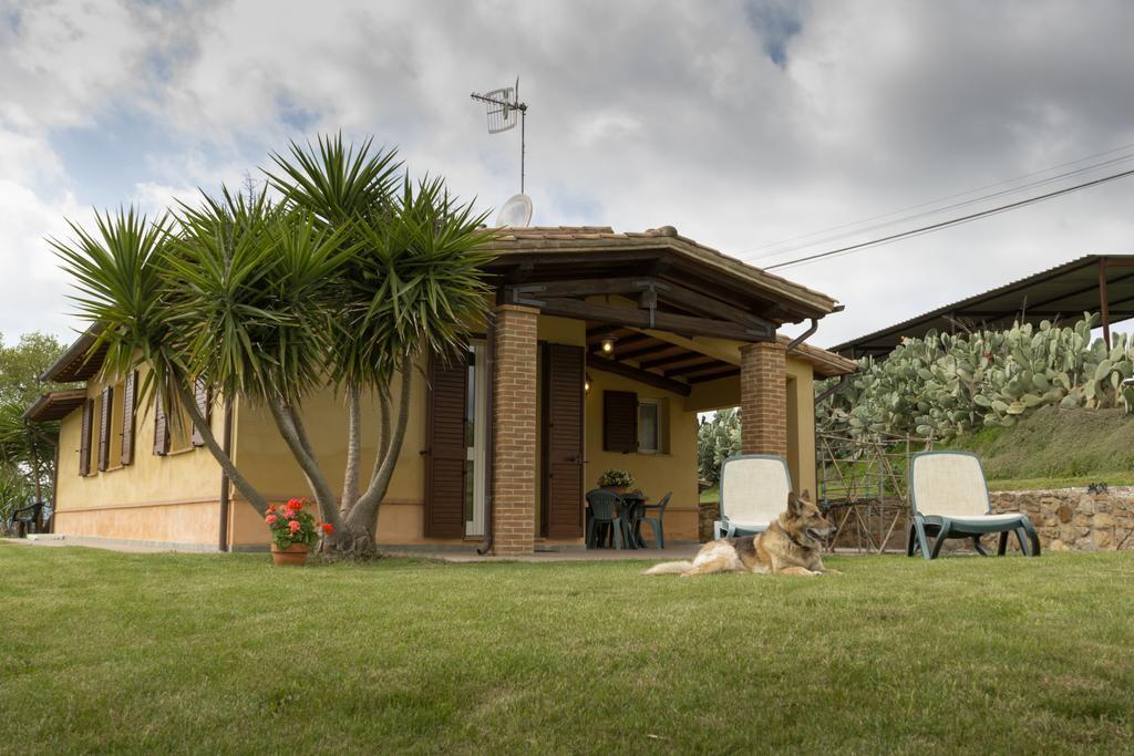Agriturismo Cupido モンティアーノ エクステリア 写真