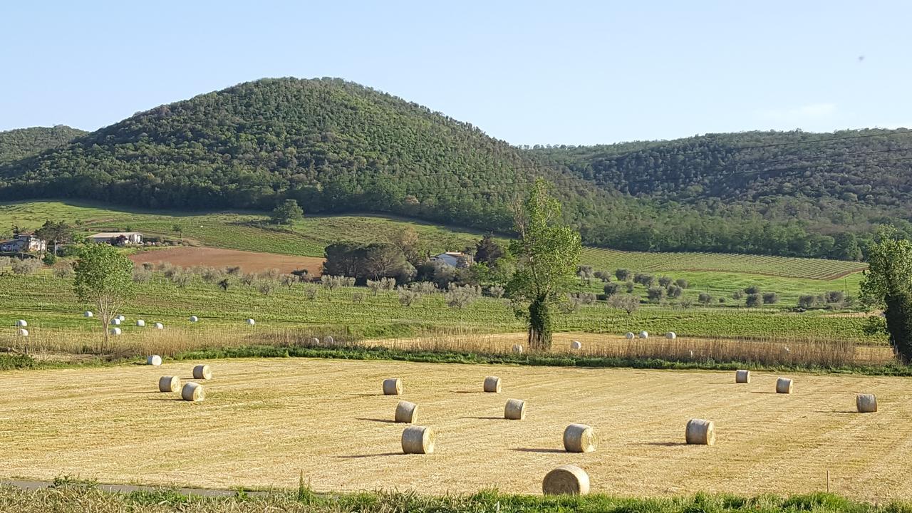 Agriturismo Cupido モンティアーノ エクステリア 写真